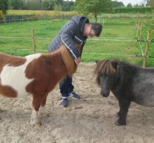 Coaching met pony's en paarden  voor kinderen en volwassenen