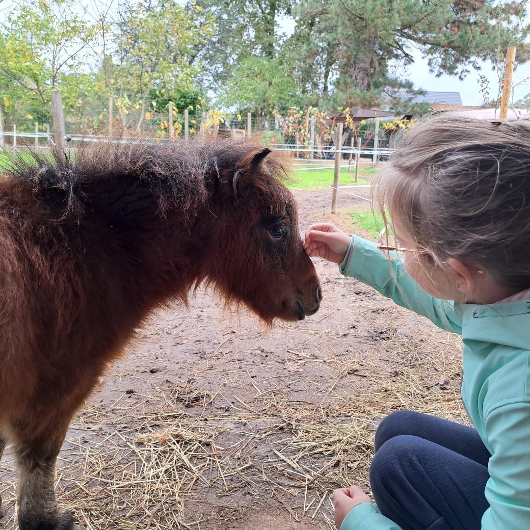 Een speels en ervaringsgericht kamp waarin knutselen, spel, pony’s en natuur samenkomen rond een bepaald thema. Kindje speelt met kleine pony