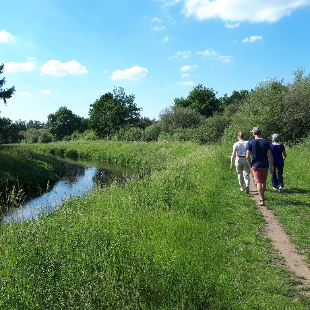 Natuurcoaching - rust, ruimte en helderheid, al wandelend in de natuur.