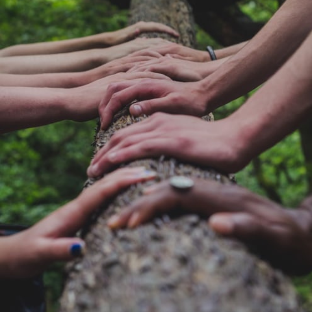 Belevingsmomenten vrienden en verenigingen